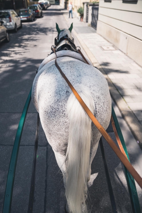 Hochzeitsfotos München, Paarfotos