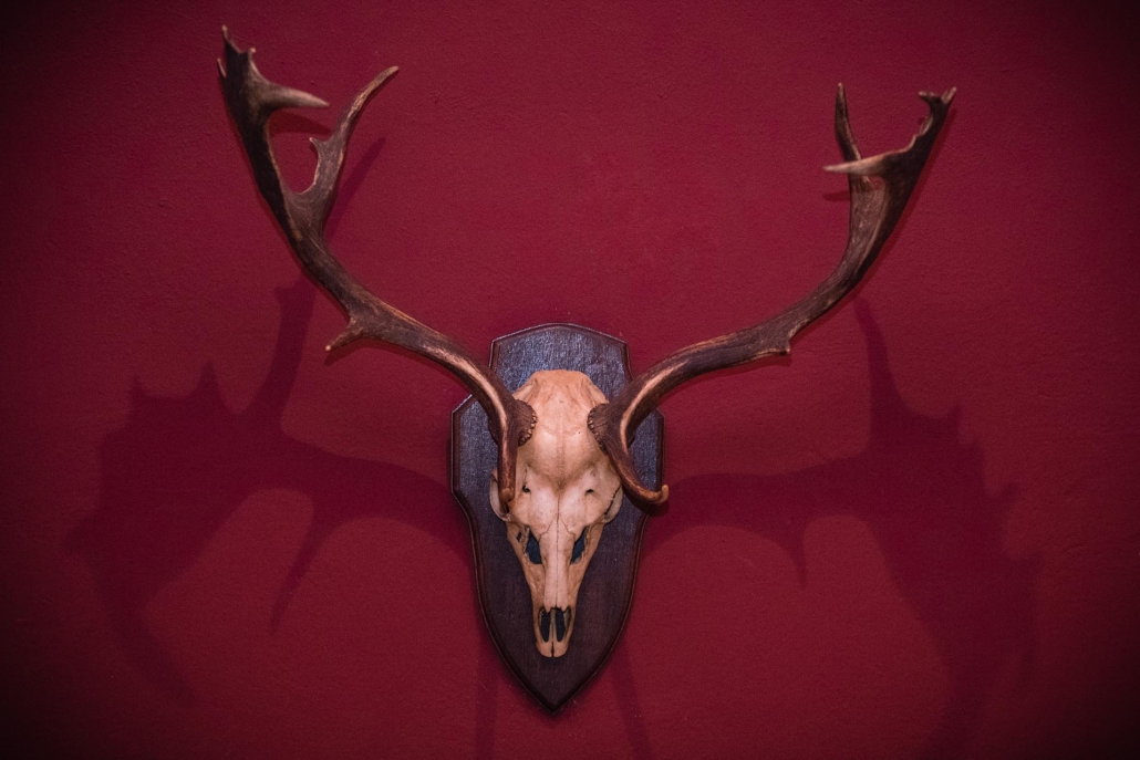 Hochzeit im Jagdschloss Hubertusstock -