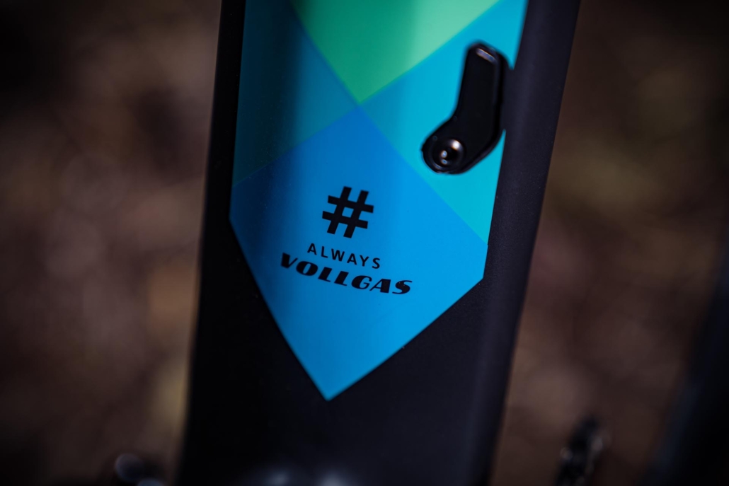 Bergamont Revox Team -