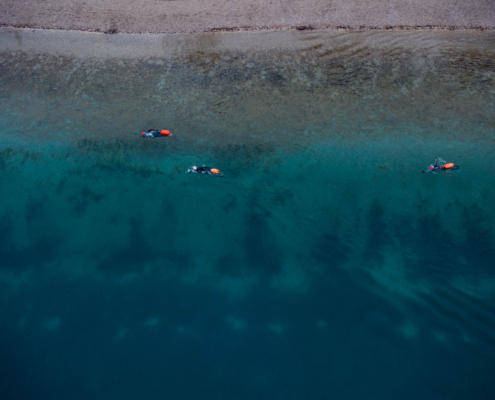 Winterschwimmen - Nur für geübte Schwimmer -