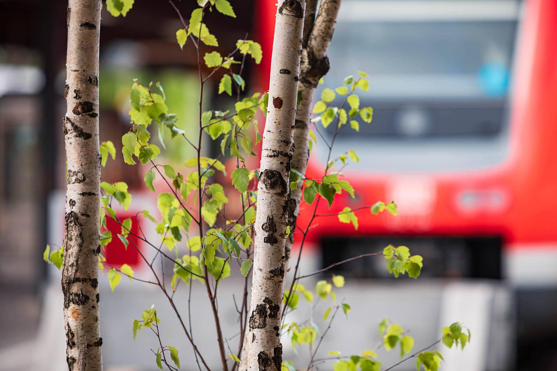 Bahnhof Insel Lindau