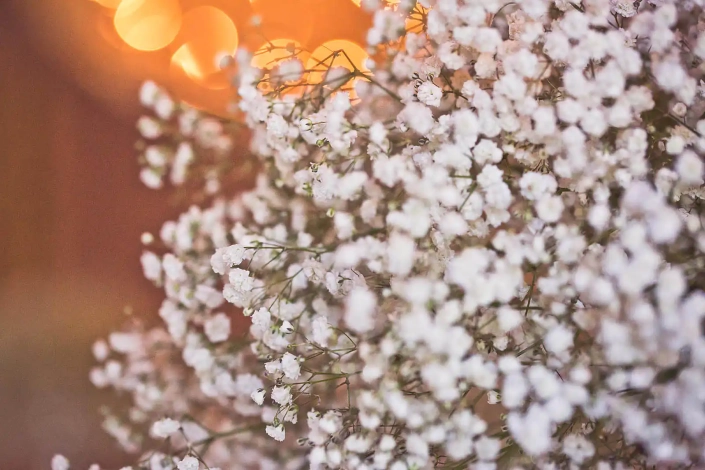 Blumen, Tisch Dekoration