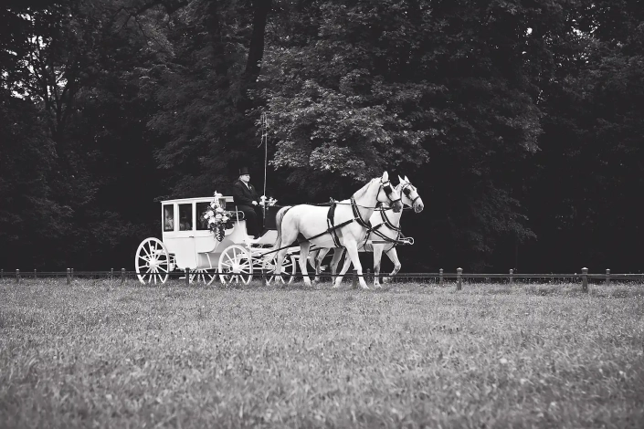 Hochzeit im Englischen Garten, Kutsche, Pferde