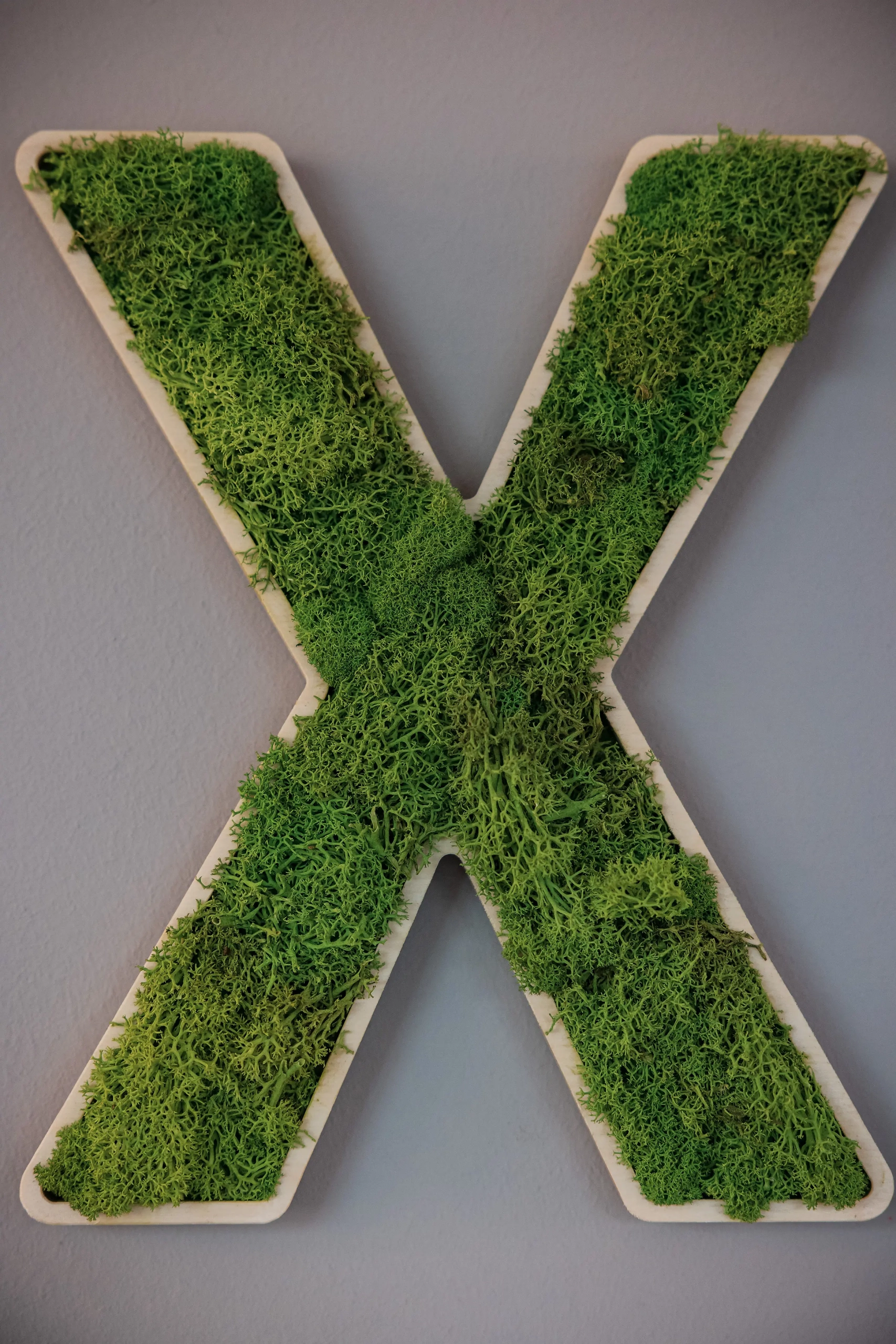 Logo C4B Opening Event 