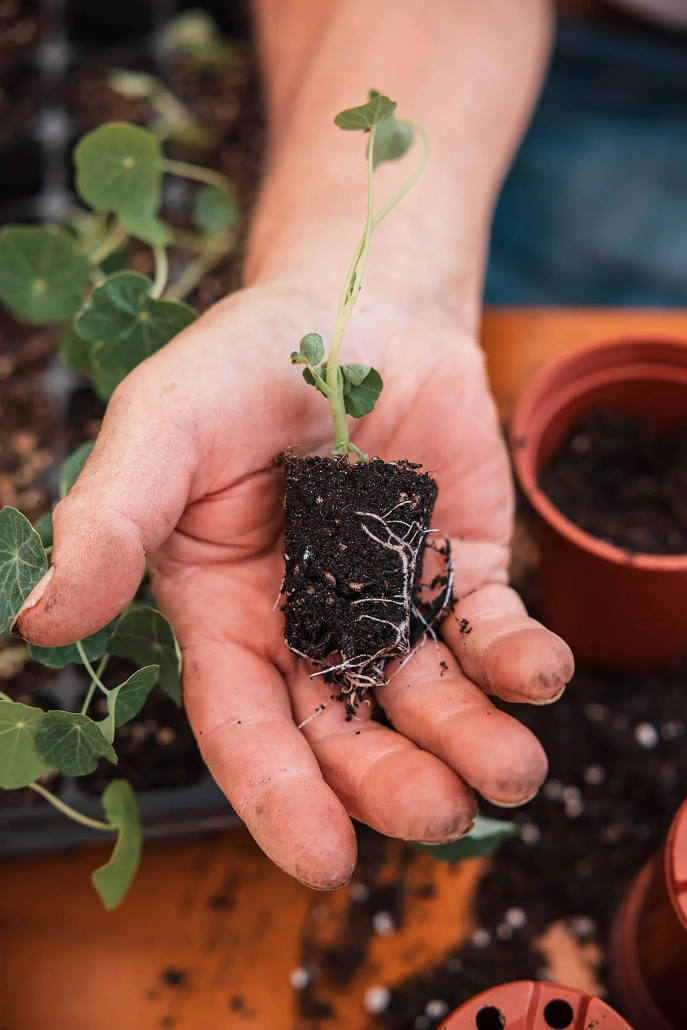 Bahnhofsgarten M&uuml;nchen Pasing, Reportage Fotografie