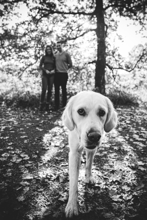 Hundefotografie München