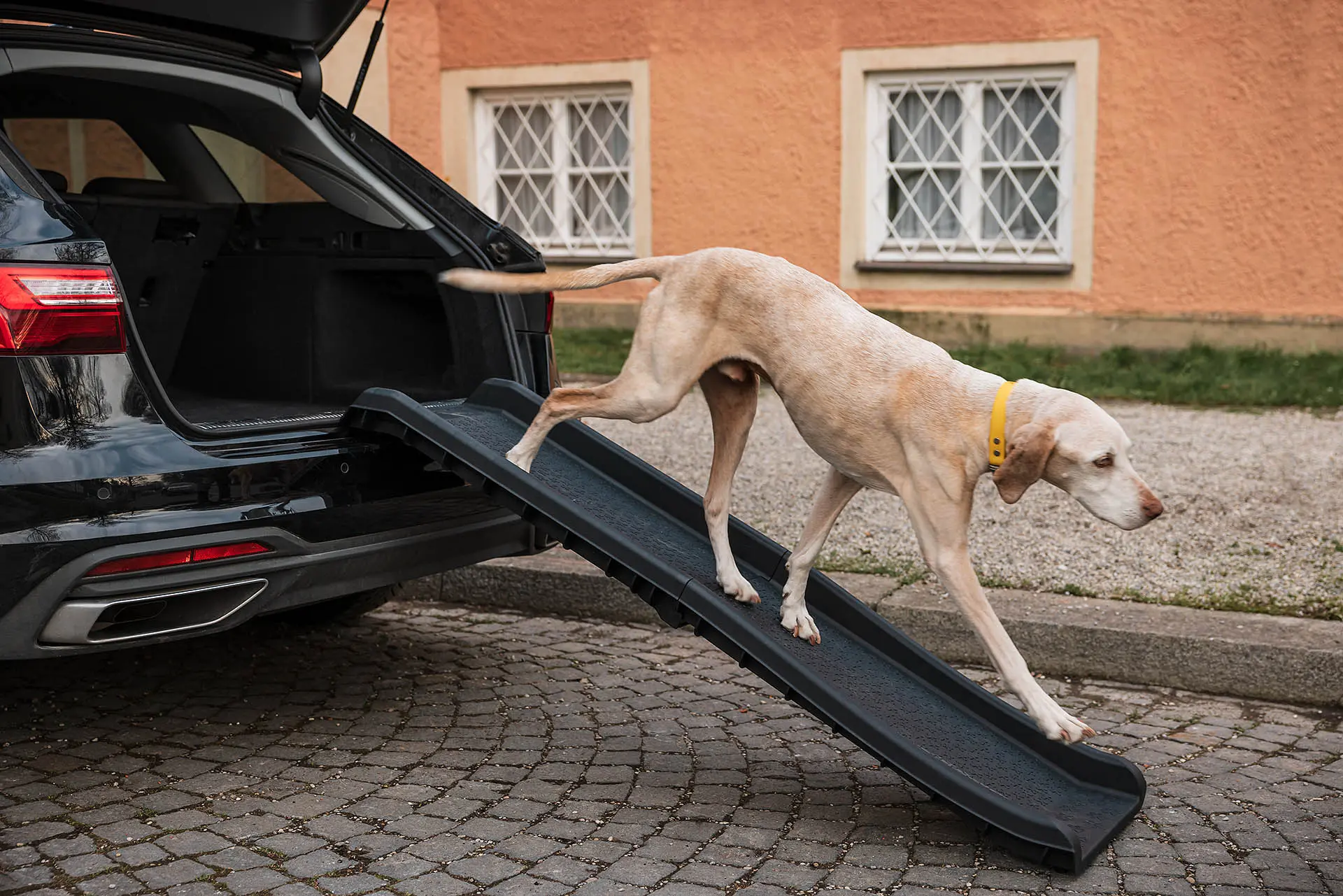 Hundetreppe, Auto, Produktfotograf